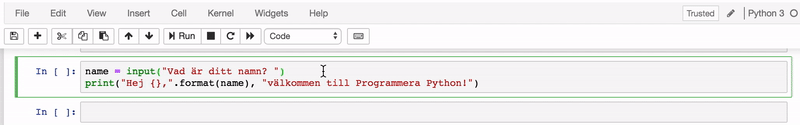 Input i Python
